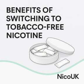Benefits of Switching to Tobacco-Free Nicotine