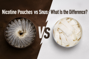 Nicotine Pouches vs Snus: What Is the Difference?
