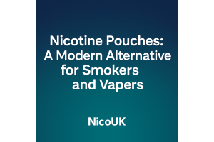 Nicotine Pouches: A Modern Alternative for Smokers and Vapers